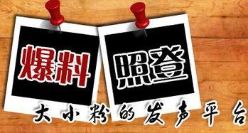 重庆新闻在哪儿能够爆料,市民爆料，聚焦民生热点问题